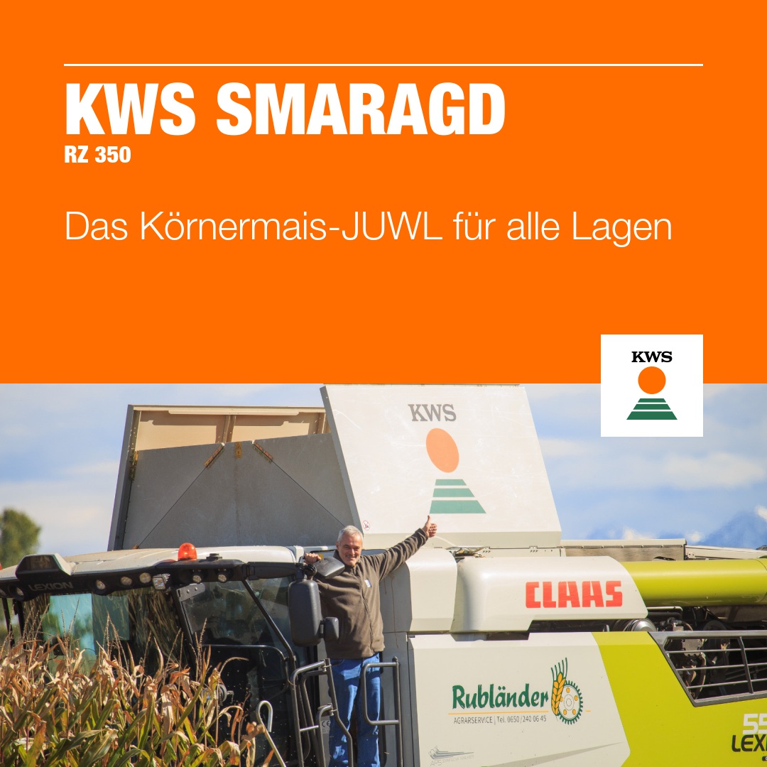 Verkauf von Saatgut: KWS im Hoch – Hannes Blog